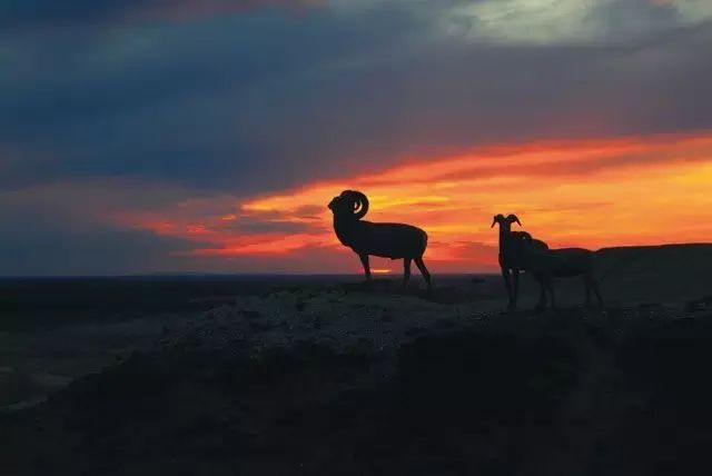 北疆风光，尽收眼底