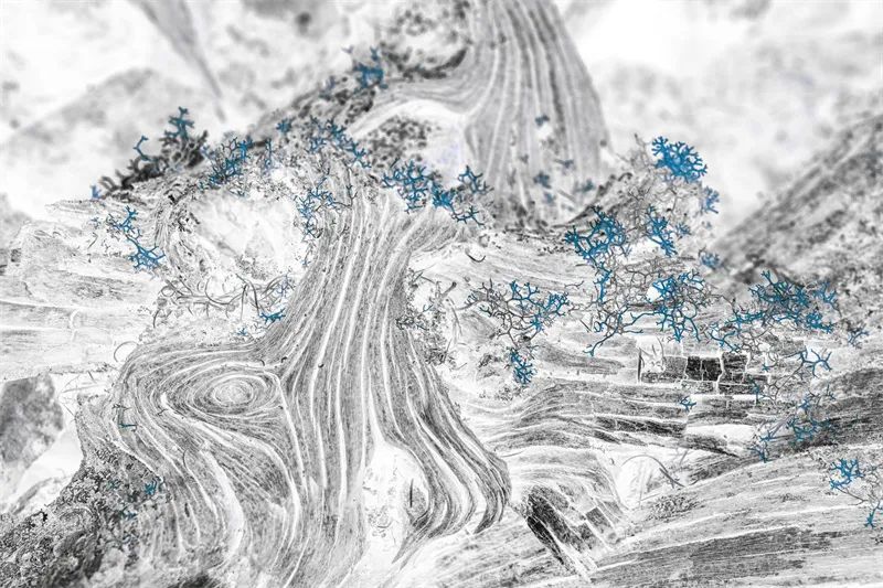 范毅：国风清韵