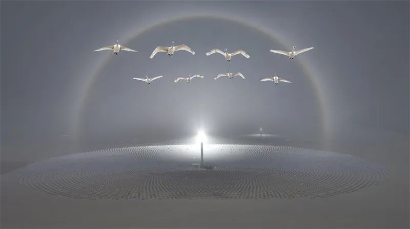 金像访谈 | 王智：题材无大小之分，认知有深浅之别