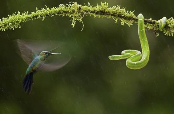 如何利用设备拍出好看的照片？