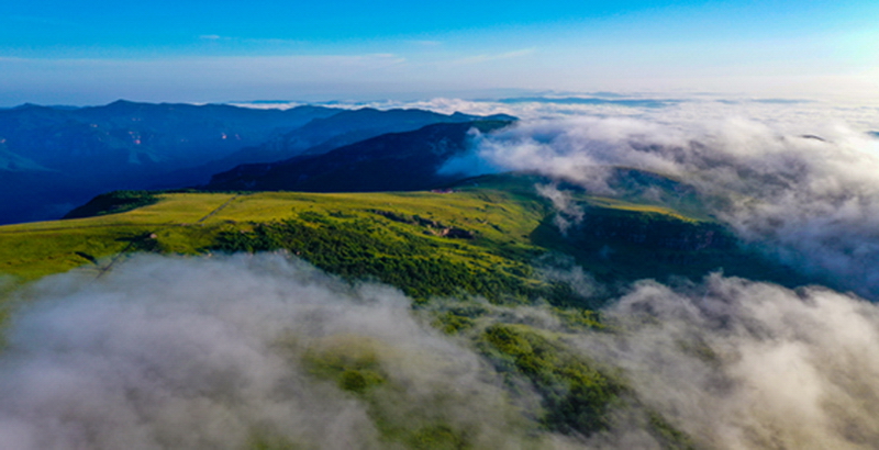 龙门精灵——晋城康养产业摄影展（第十二辑）