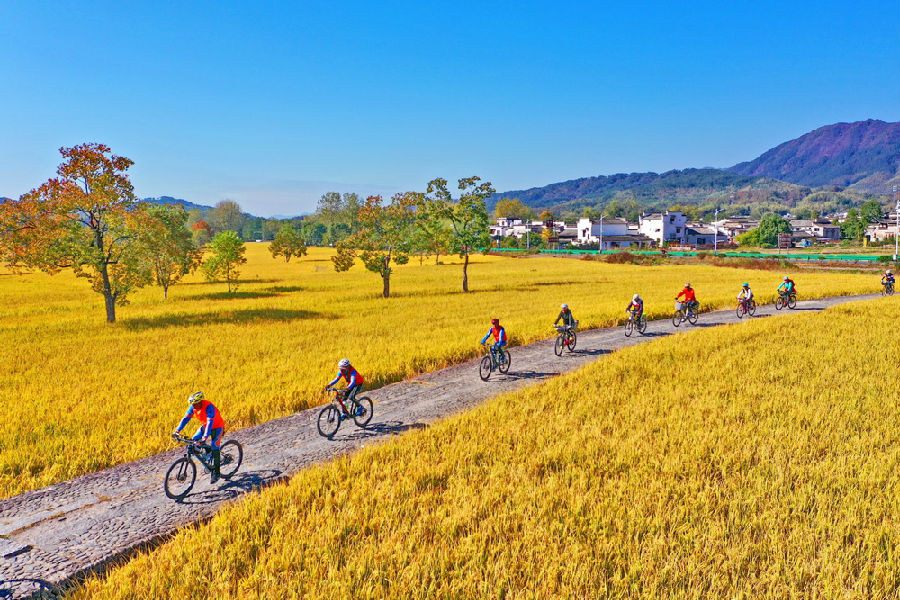 飞越秋天——“青春有你 黟路同行”全国摄影展（第二辑）