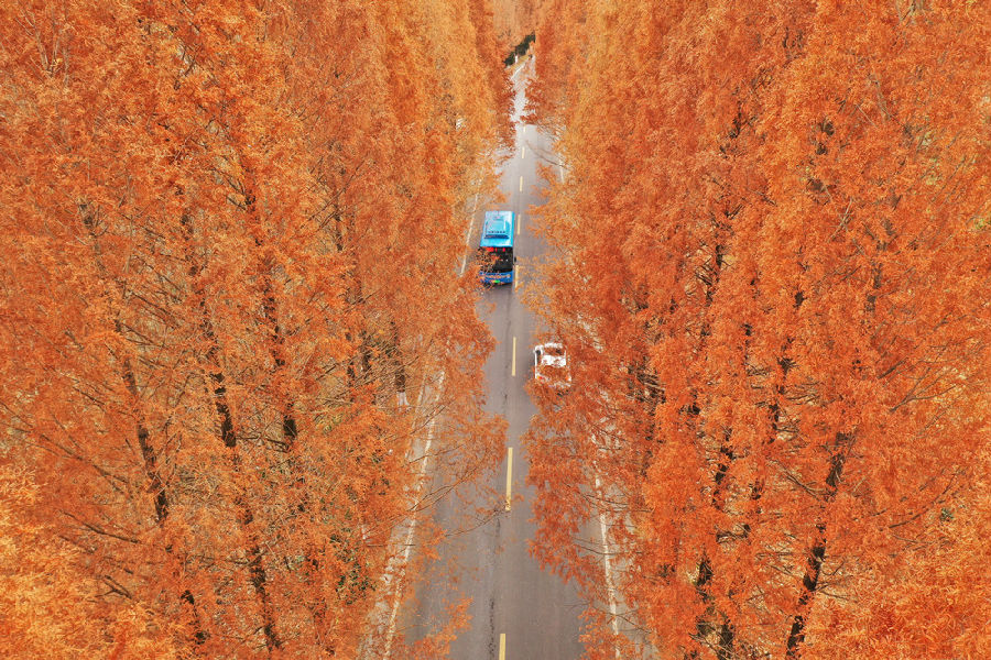 黟路同行——“青春有你 黟路同行”全国摄影展（第八辑）