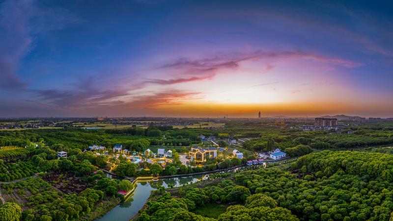 观鱼生态园——“时裳新桥”摄影展（第一辑）