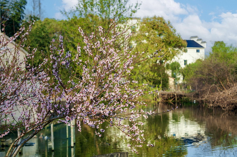 运河两岸——泗安全国摄影展（第十四辑）
