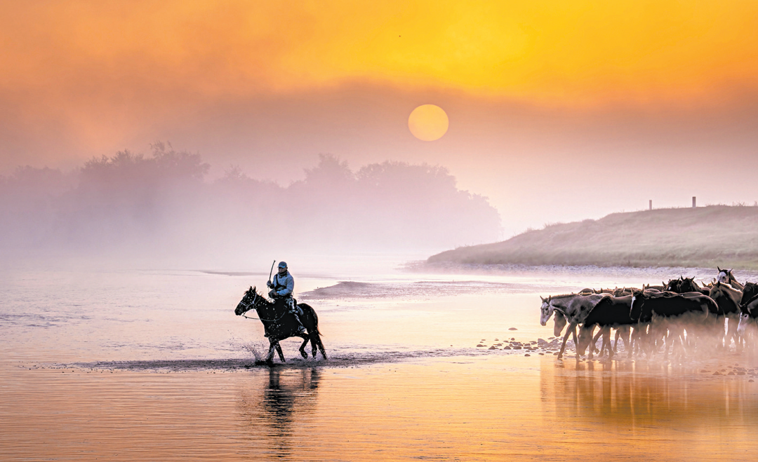 逆光下拍马，表现画面层次