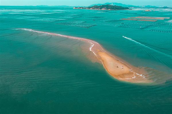 鱼骨沙洲——东山岛国际摄影展（第八辑）