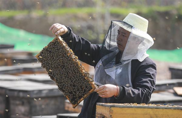 有模有样——第二届“富平柿饼 甜蜜中国”全国摄影展（第九辑）