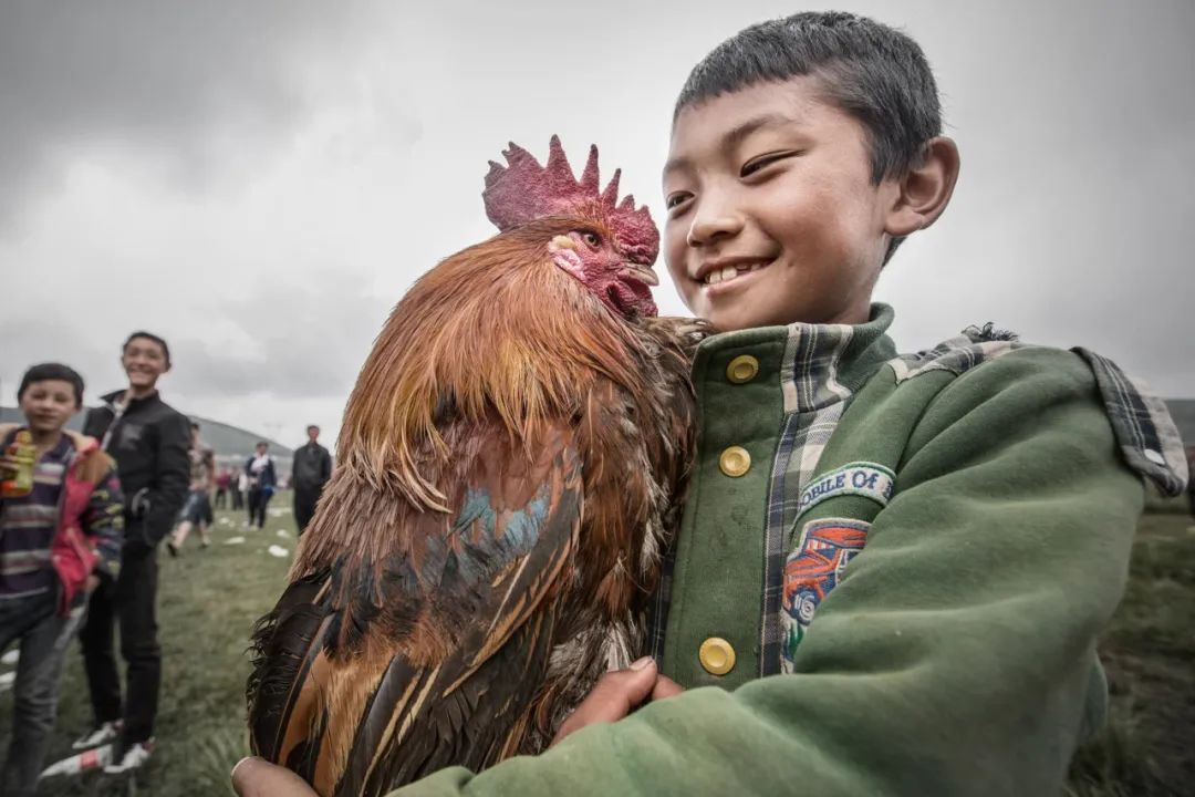 点评 | 萌宠相伴