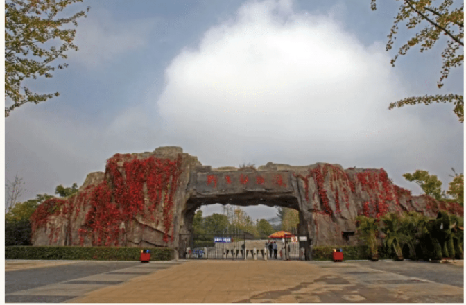 网红方脸猴 “大壮” 走了，曾靠 “丑萌” 火遍全网​