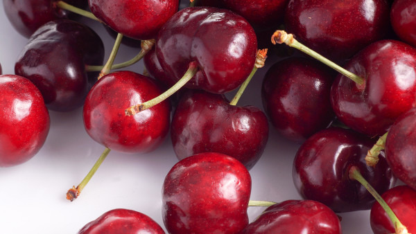 狗狗能吃樱桃吗？