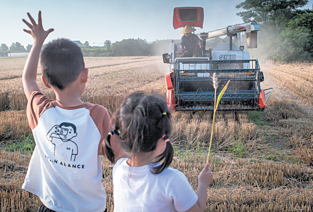 农忙 | 以人物为线索，拍摄麦收