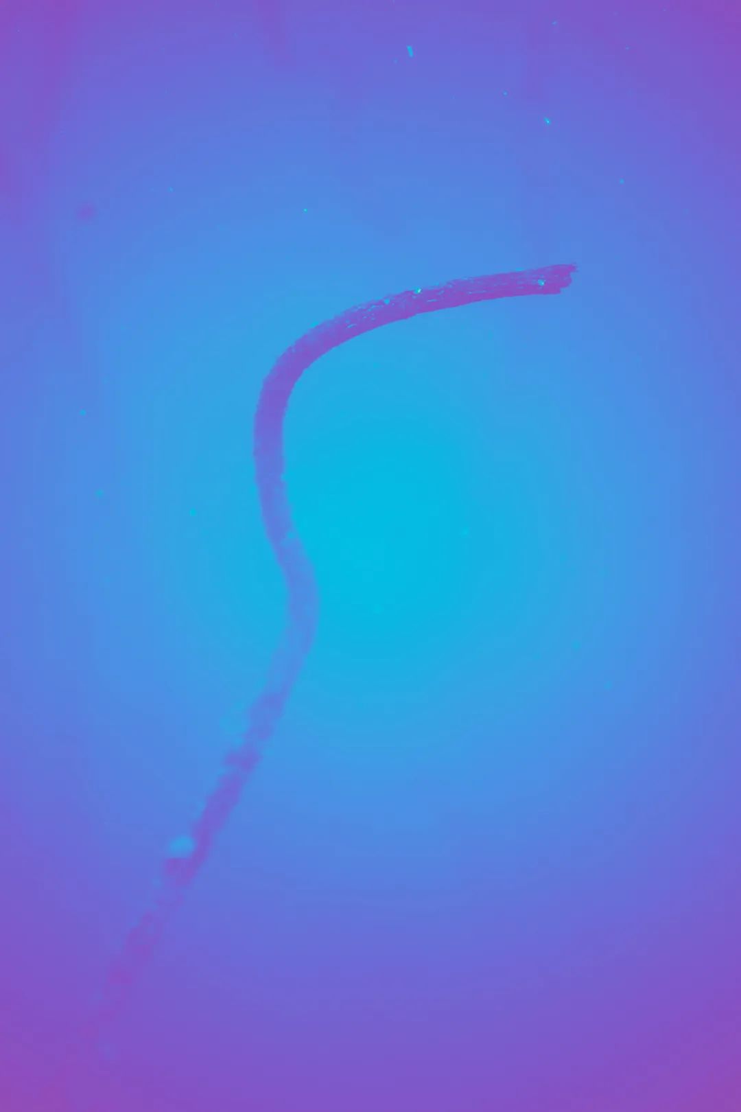 陈瑞 ：残荷意象