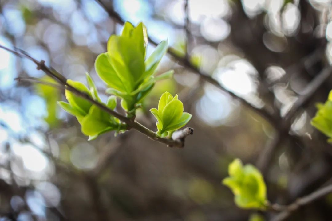 把“六一”的主角还给孩子