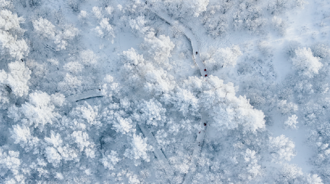 点评 | 摄影进阶之疏密处理