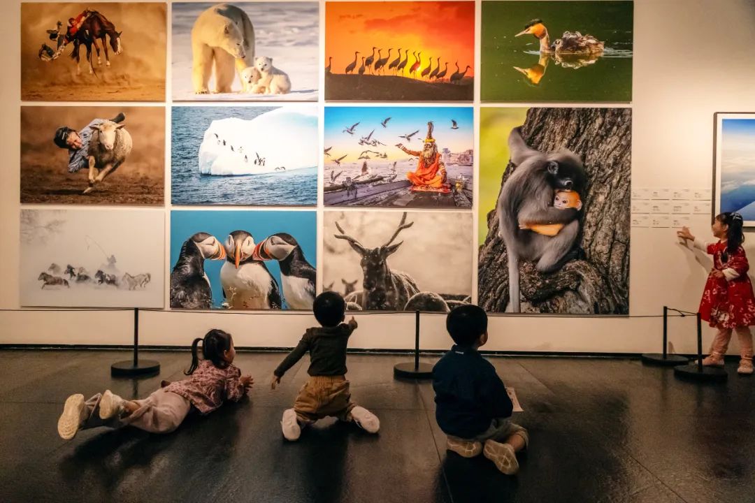 点评 | 快乐成长