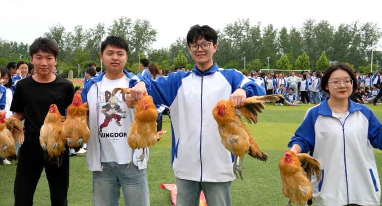 学校抓鸡活动走红：学生解压，鸡 “压力山大”​