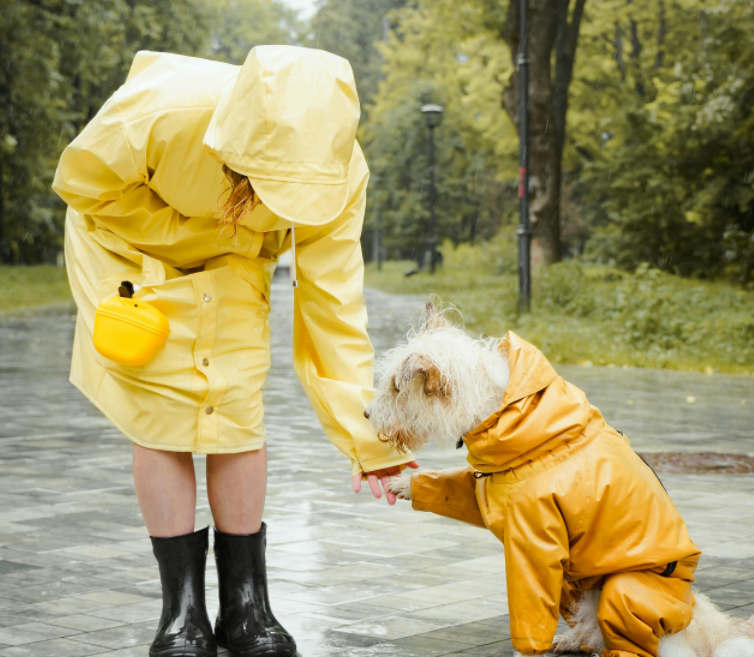惊！小区里遛狗不牵绳还放狠话，这事儿闹大了！