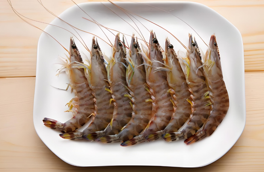 虾竟然不是海蟑螂？这些误解害我差点错过美味！