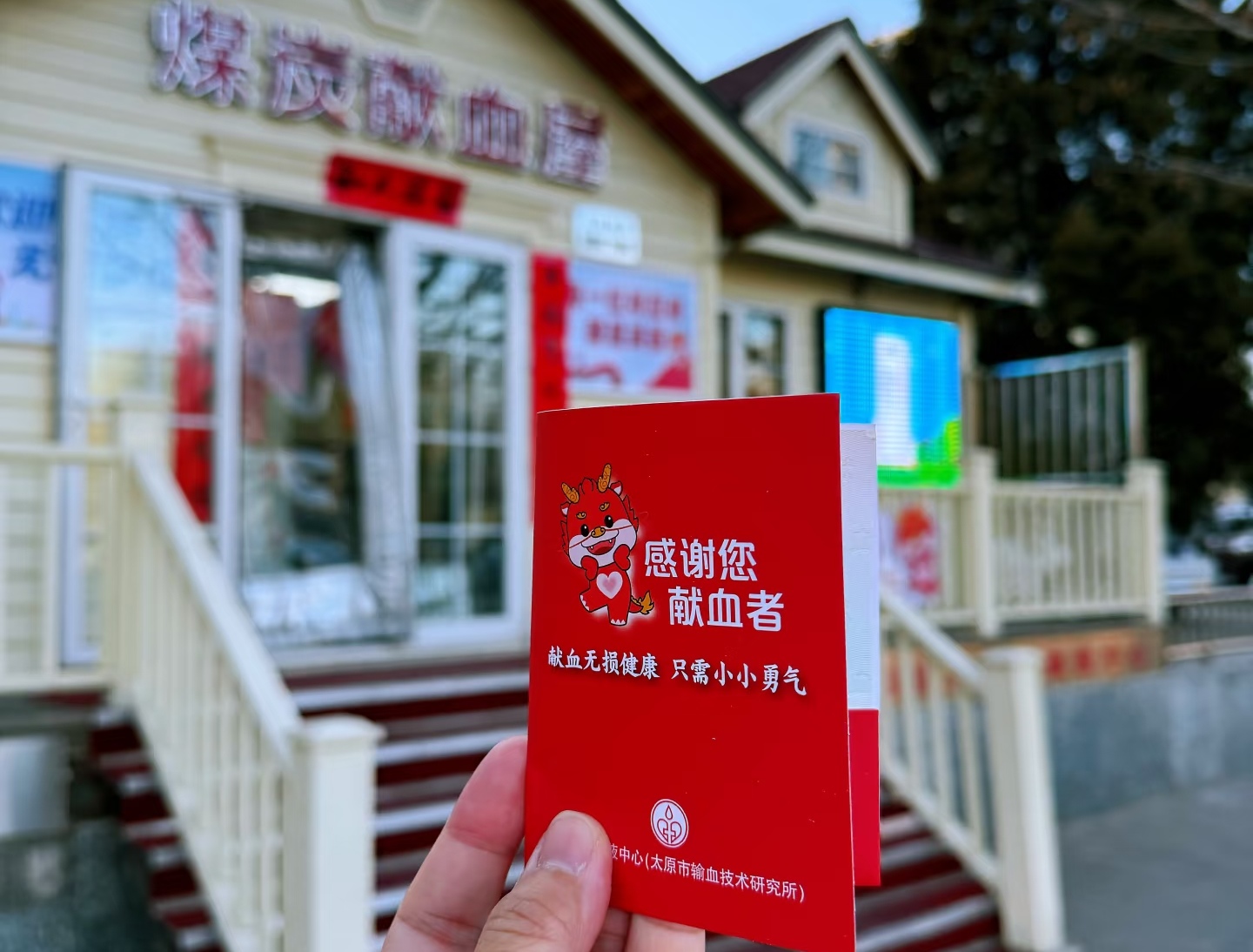 400ml 血液的生死之别：为啥献血没事，失血却危险？