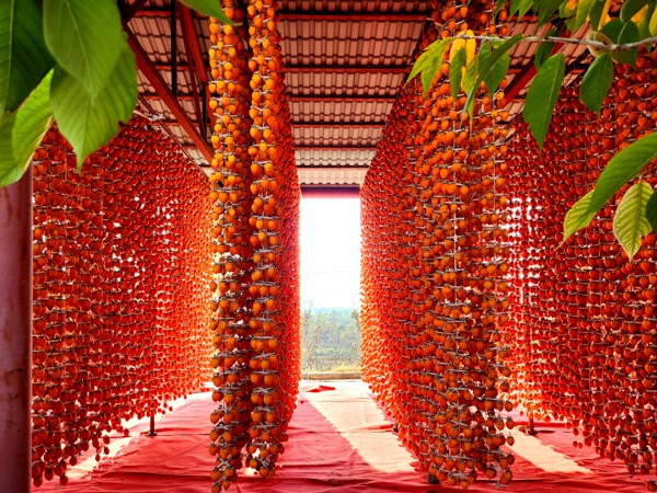 魅力新城——“富平柿饼 甜蜜中国”全国摄影展（第三辑）