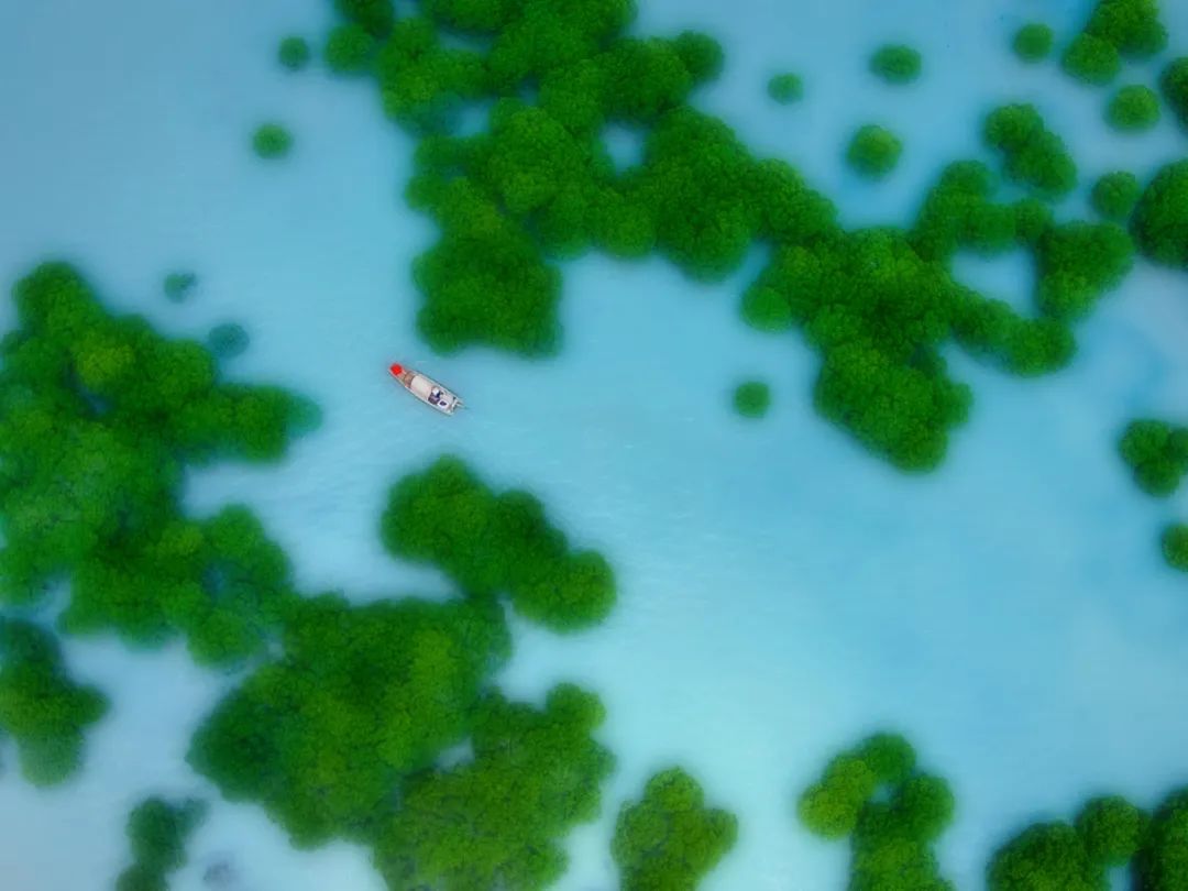 点评 | 摄影进阶之构建“呼吸感”