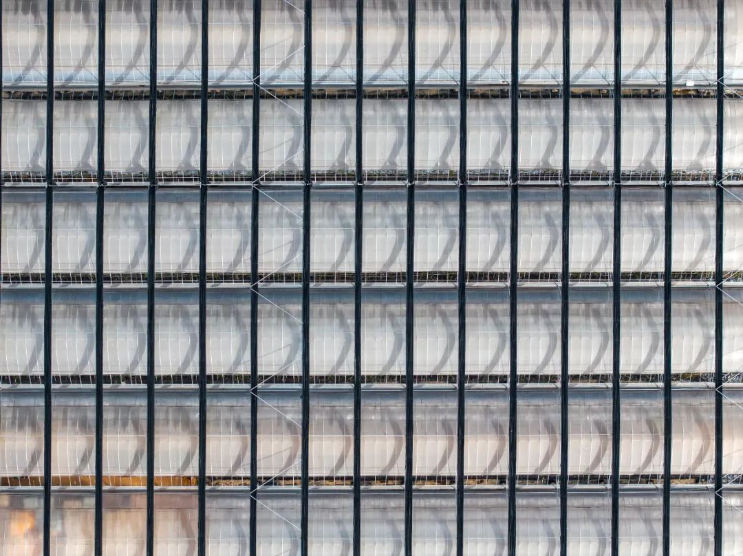 科技兴农 | 刘仕亮：“玉”见