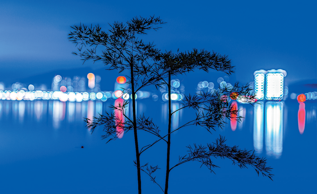 利用大光圈获得梦幻光斑