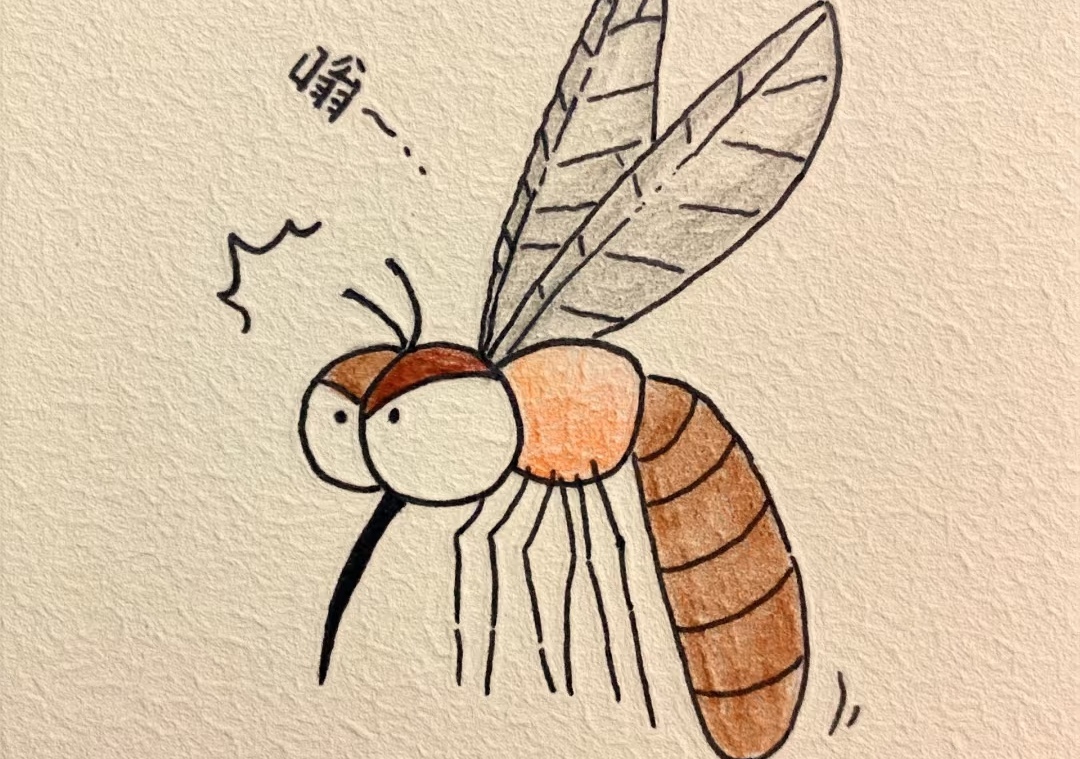 蚊子年年扰，到底是 “老住户” 还是 “新访客”？