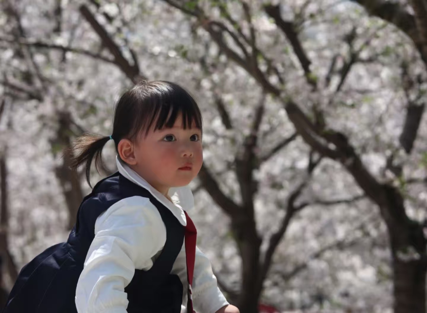 生育补贴来了，“生娃焦虑” 能缓解吗？