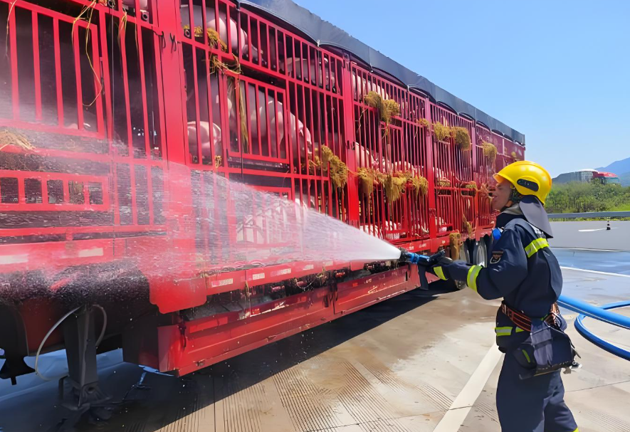 消防车给路上的猪降温，这暖心操作里都是生活智慧