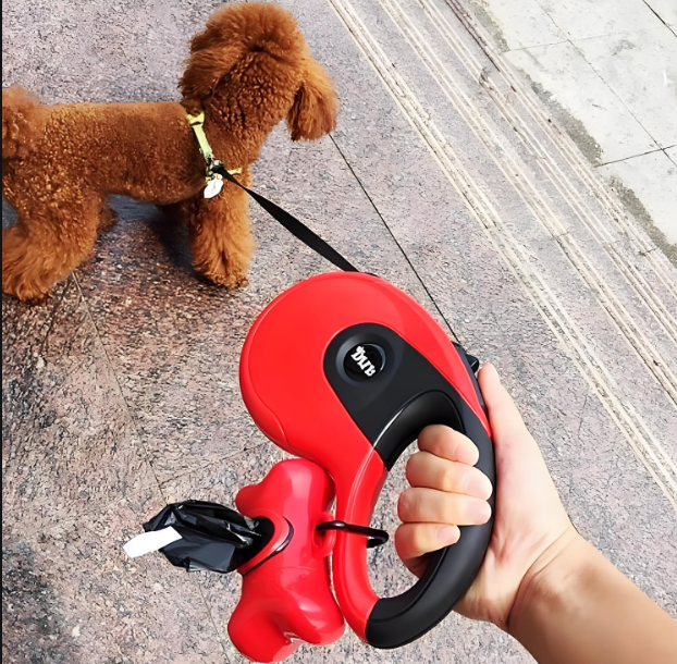 当心！狗狗的伸缩牵引绳藏着这些隐患！