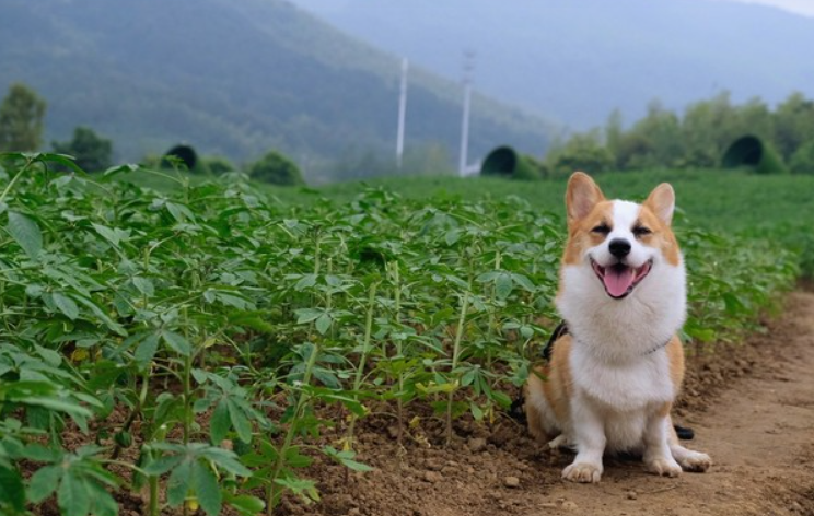 未命名文章 19635