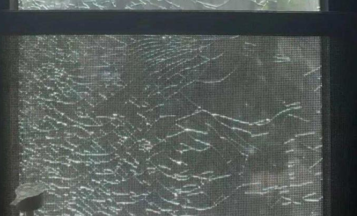 河南极端高温太 “烤” 验：蚊子热死、玻璃炸裂、鹅被热死在水塘