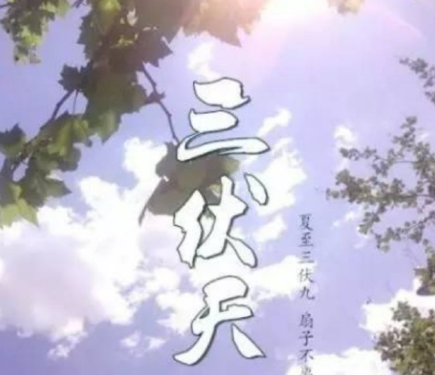 三伏天饮料卖得火，价格反倒降了：这酷暑里的消费挺实在