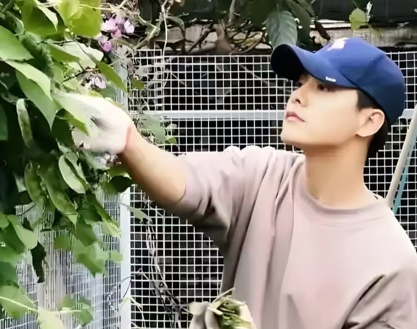 马天宇的田园生活：养鸡捡蛋，好友送三蹦子助力农场