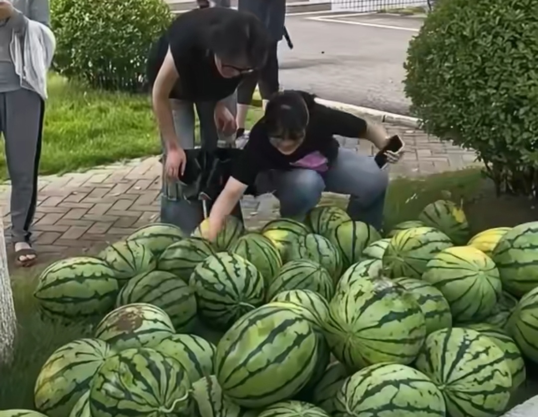 连续四年！滁州学院 50000 斤西瓜为留校学生消暑