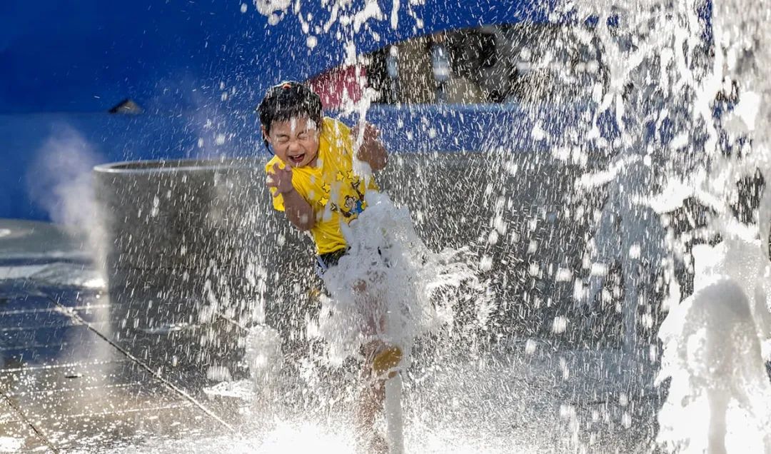 点评 | 清凉夏日