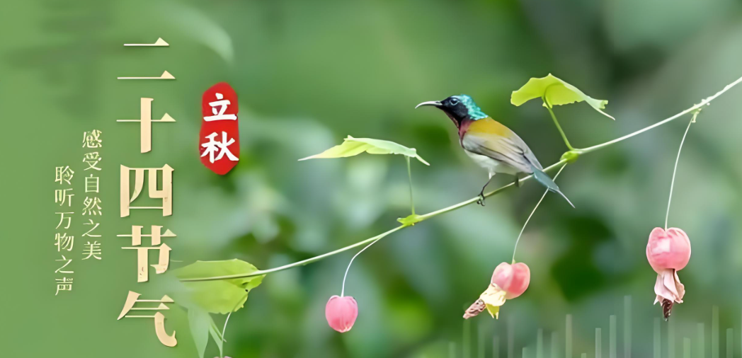 明天立秋和夏天好好道个别