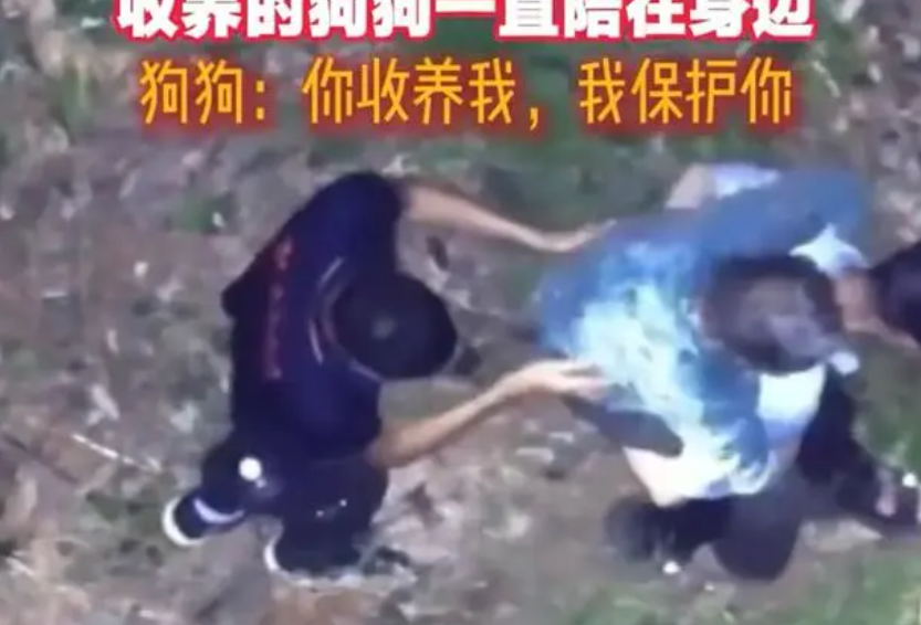 八旬老人深山走失，忠犬相伴近二十小时