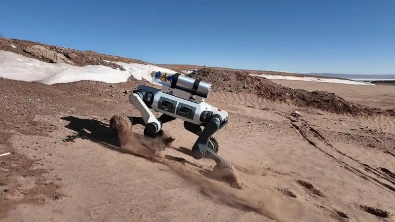 全球首只 “机器藏羚羊” 成功潜入可可西里羊群，开创零干扰科考新时代