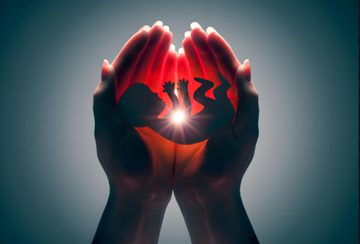 新郎婚礼两月后离世，新娘终止妊娠被判返还 12 万彩礼引热议