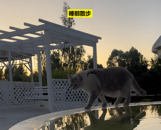 被低估的运动：一周一次，好处多到想不到