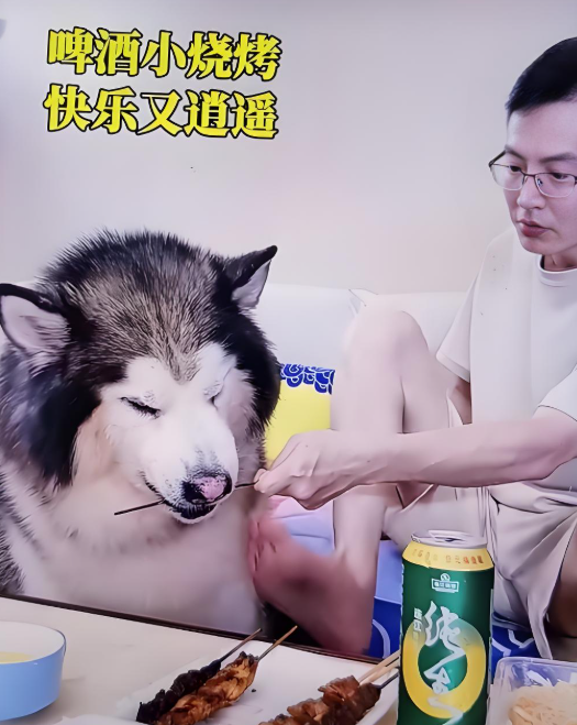 吃 “狗粮” 瘦 15 斤？假装成狗的减肥法太绝了