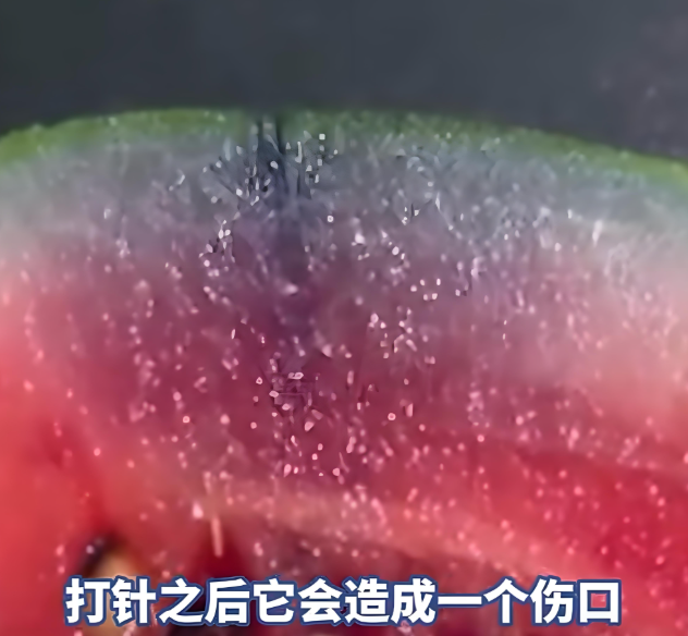 西瓜变甜之谜：甜蜜素传言背后的真相