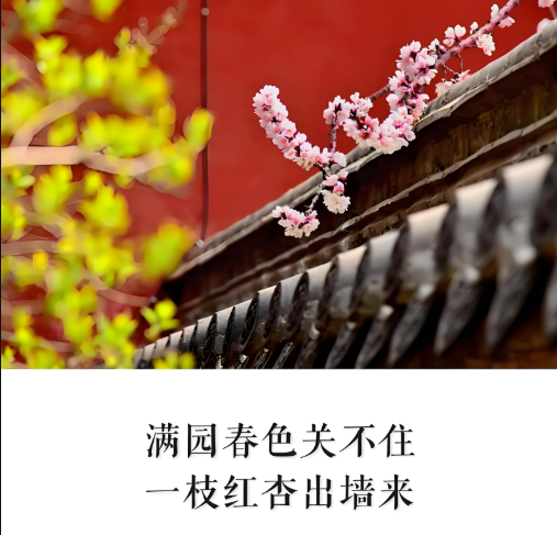 丈夫发现亡妻生前转账已婚男 93 万，还被对方称为 “老婆”！法院判全额返还