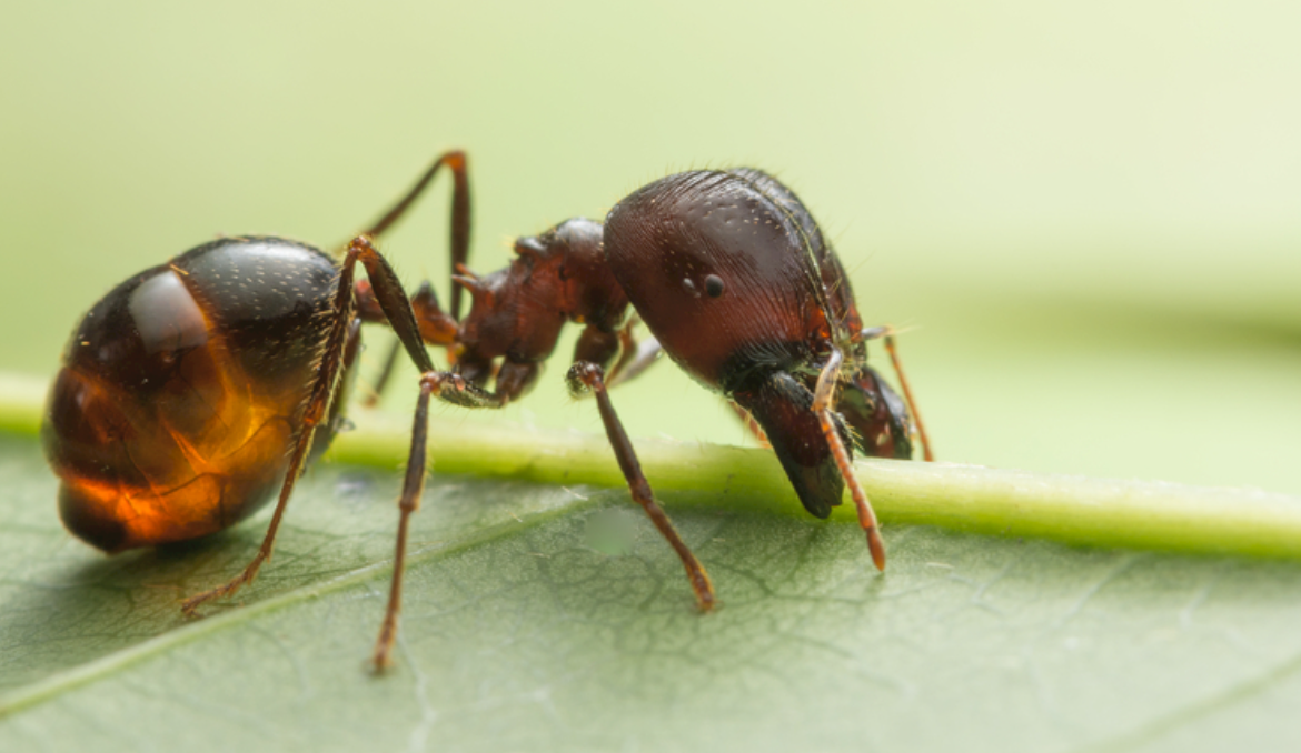 地堡里的 “食尸蚁群”：200 万尸体堆中的生存奇迹