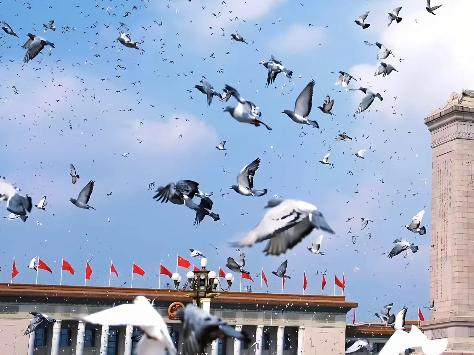 90 秒！8 万羽和平鸽掠过天安门，这画面太震撼