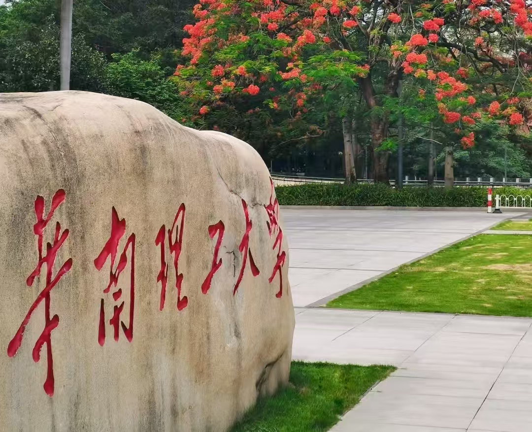 高学历也破道德线？68 页 PPT 扒华南理工博士出轨，处分结果引热议