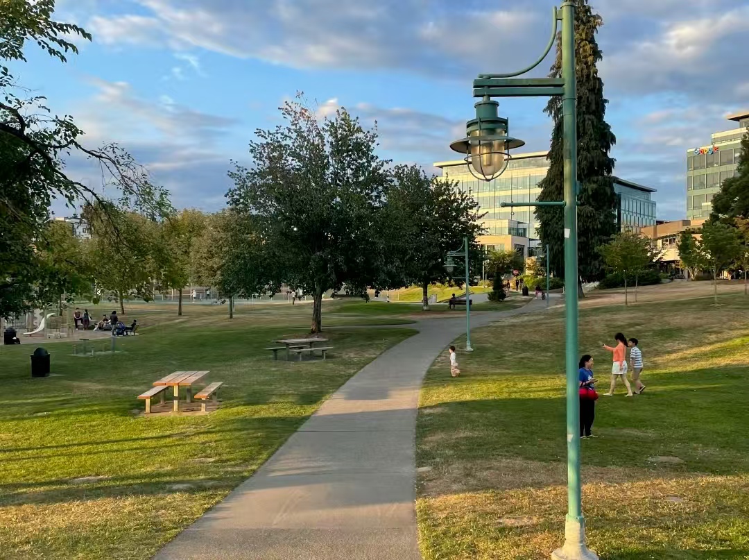 废弃氢氟酸藏空地，52 岁阿姨散步遇难：未防护的拆迁区何时 “补安全”？